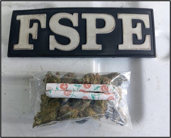 First slide